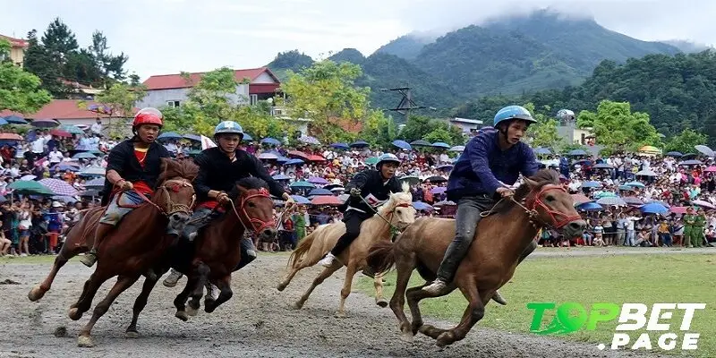 Chiến lược và mẹo khi tham gia đua ngựa Bắc Hà