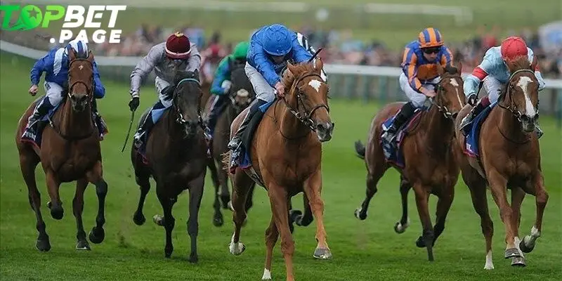 Đua ngựa Belmont là chặng đua cuối cùng trong loạt giải danh giá Triple Crown của Mỹ