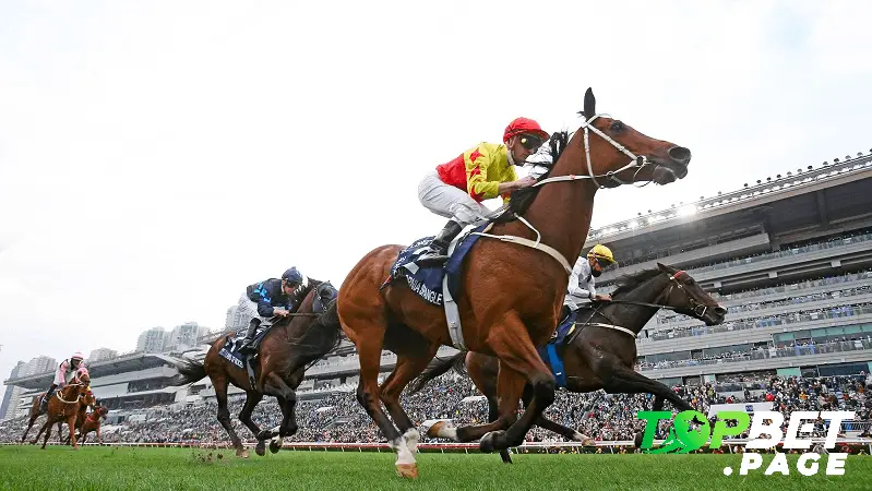 Giới thiệu khái niệm đua ngựa Hong Kong là gì?