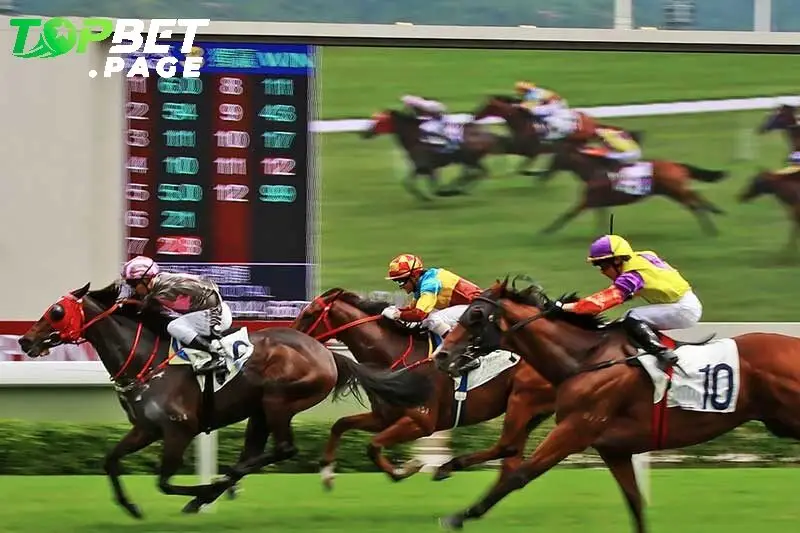 Mẹo để chiến thắng đua ngựa Hong Kong