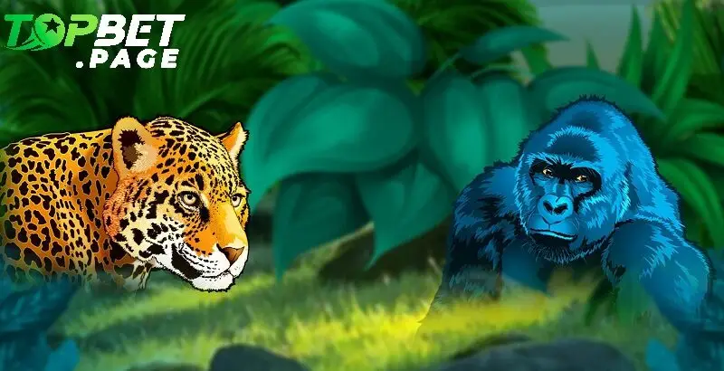 Mẹo để chơi Congo Cash Topbet thắng lớn
