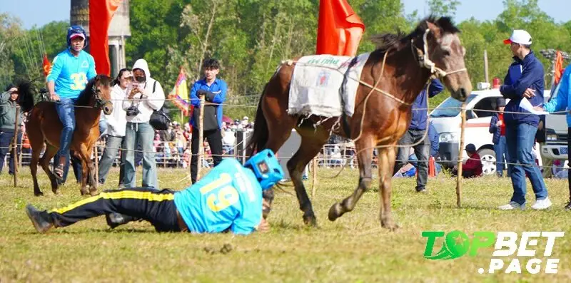 Sự kết hợp hoàn hảo giữa đua ngựa Gò Thì Thùng và Topbet